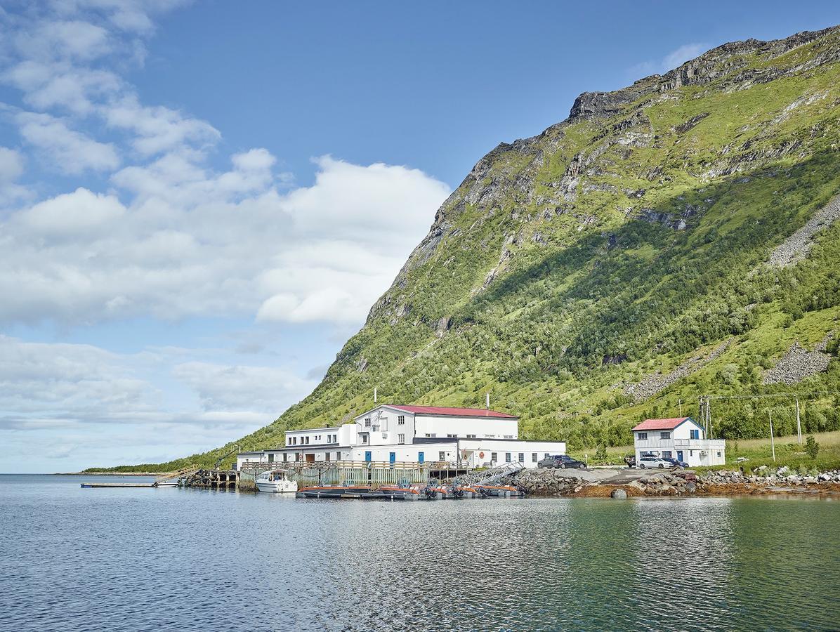 Northern Light Hotell/Camp Steinfjord Berg  Exterior foto