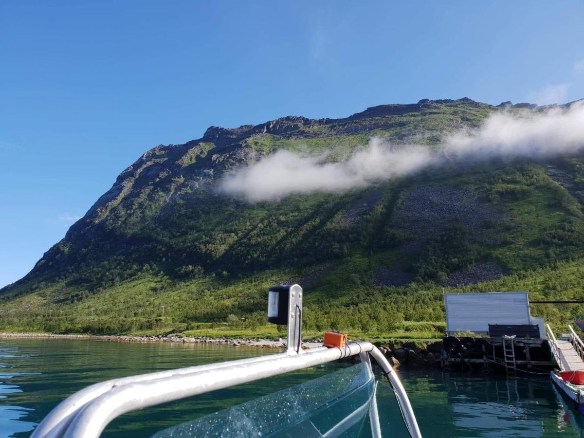 Northern Light Hotell/Camp Steinfjord Berg  Exterior foto