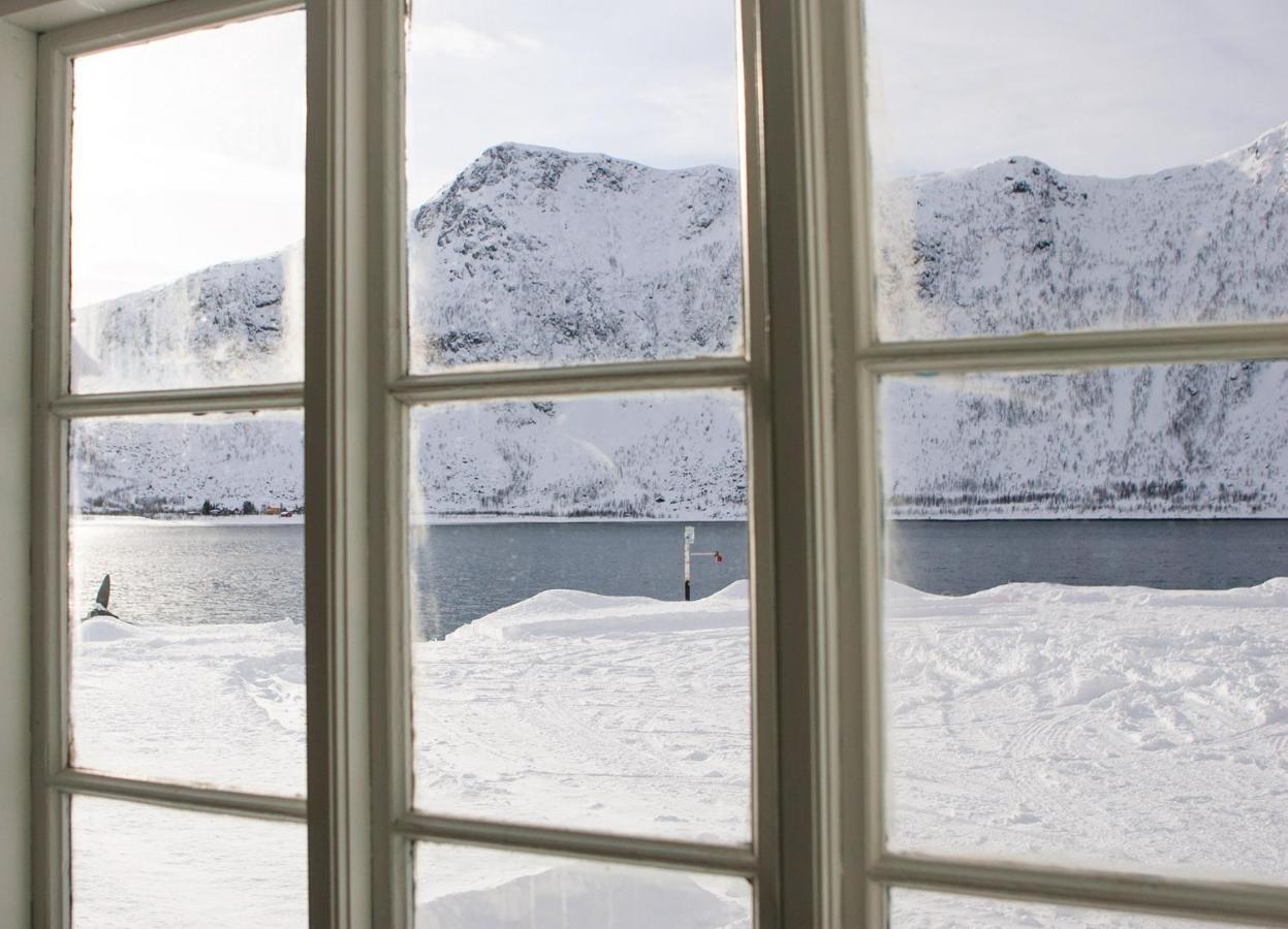 Northern Light Hotell/Camp Steinfjord Berg  Exterior foto