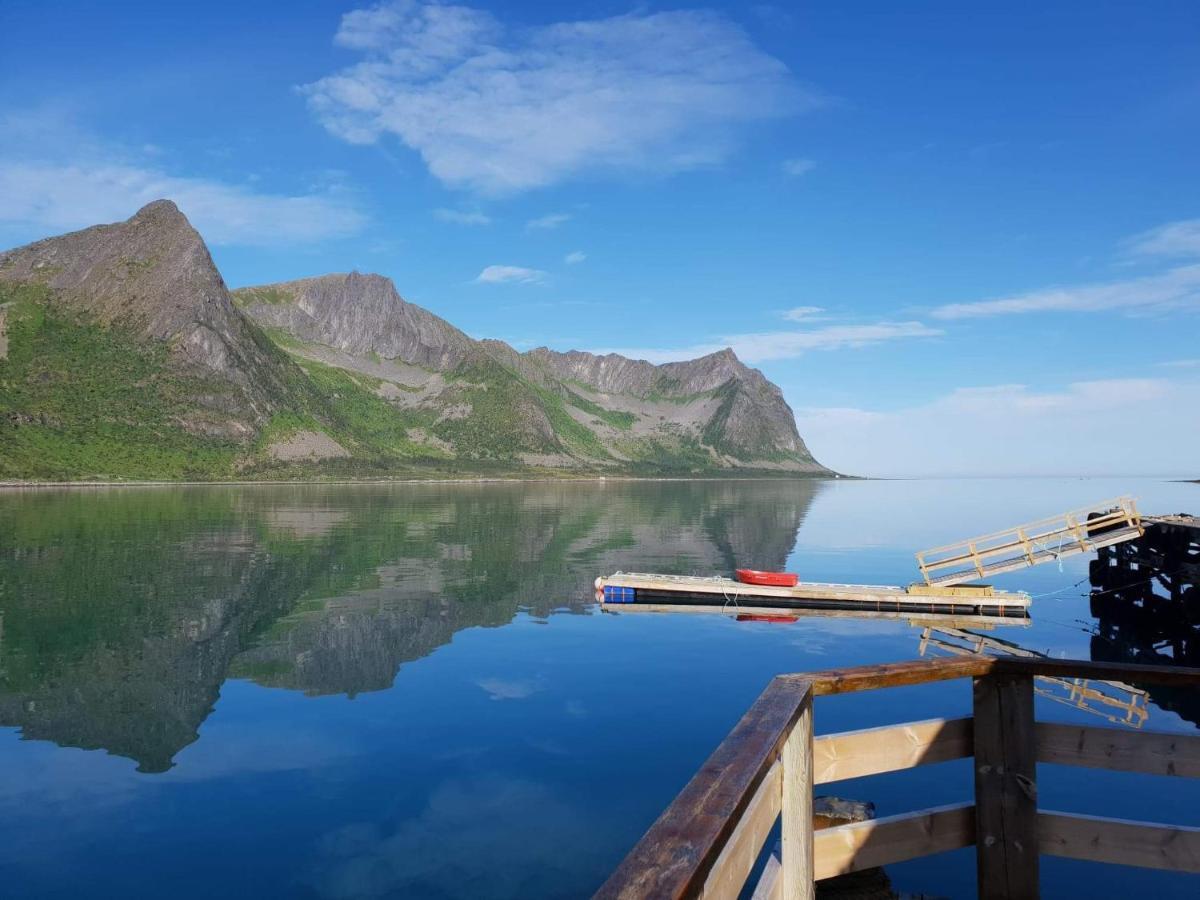 Northern Light Hotell/Camp Steinfjord Berg  Exterior foto