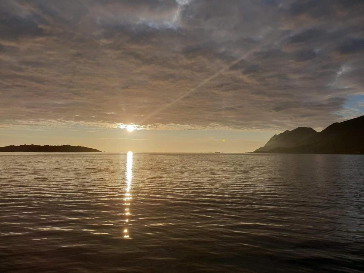 Northern Light Hotell/Camp Steinfjord Berg  Exterior foto